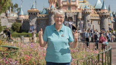 Photo of Stranded at Disneyland When My Aunt Fled with My Wallet—How I Got Sweet Payback on the Train