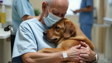 Photo of The Patient Who Kept Calling for “Murphy”—A Name That Left Us Confused
