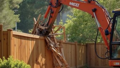 Photo of My Neighbor Made Me Remove My Fence and Faced Unexpected Consequences