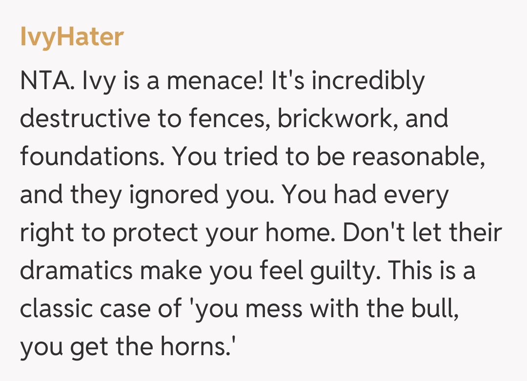 Comentariu de la IvyHater