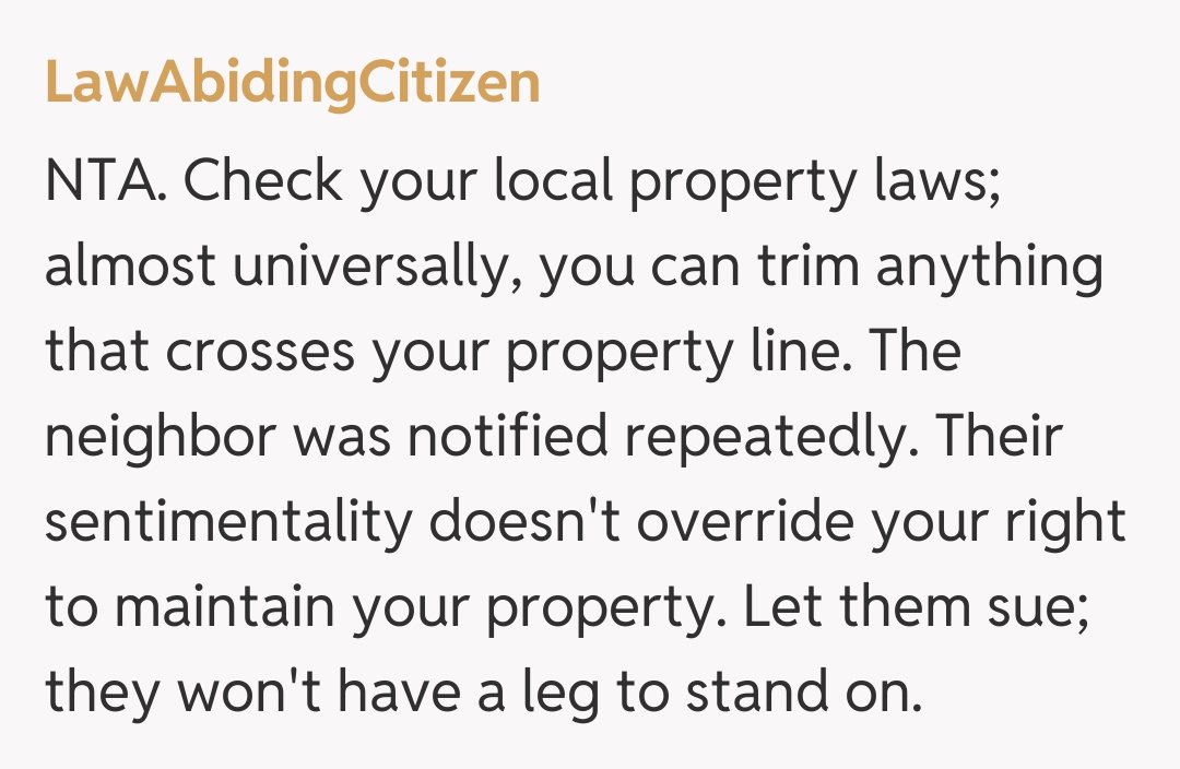 Comentariu de la LawAbidingCitizen