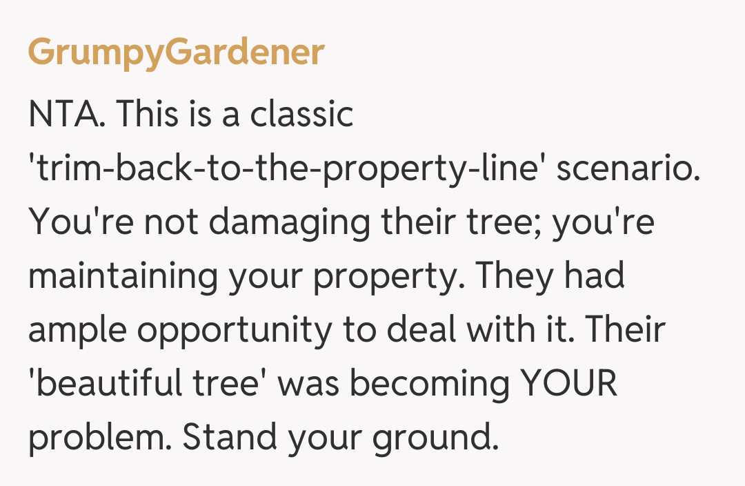 Comentariu de la GrumpyGardener