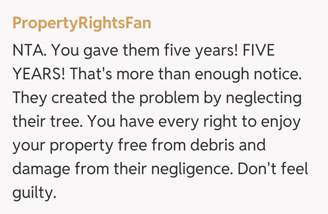 Comentariu de la PropertyRightsFan