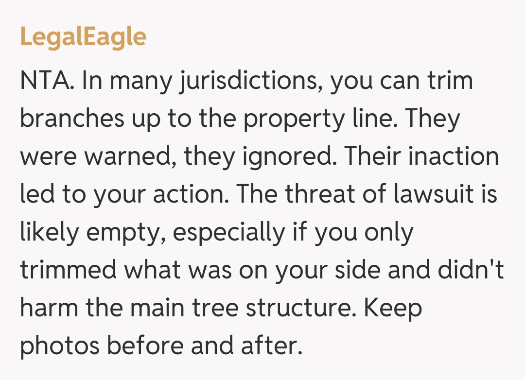 Comentariu de la LegalEagle