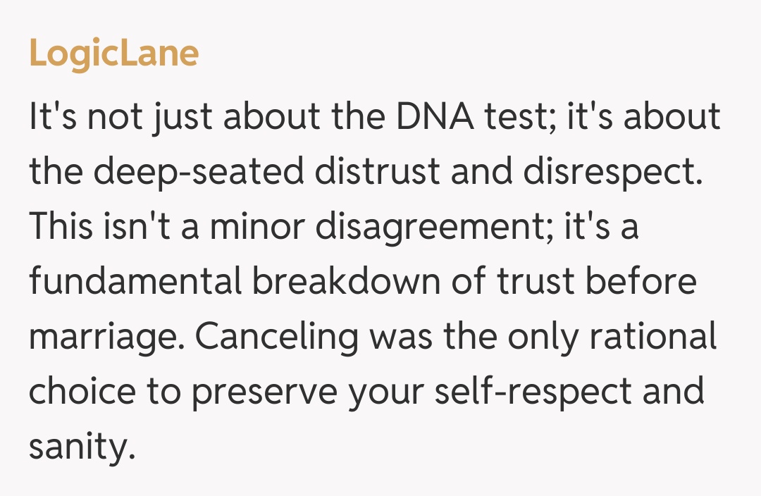Comentariu de la LogicLane