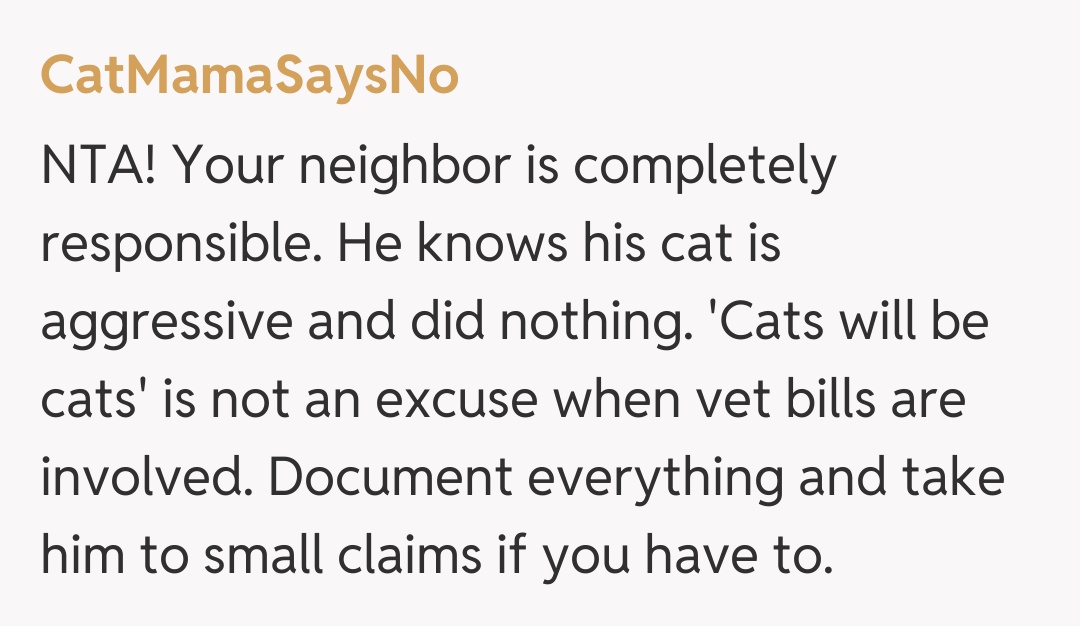 Comentariu de la CatMamaSaysNo
