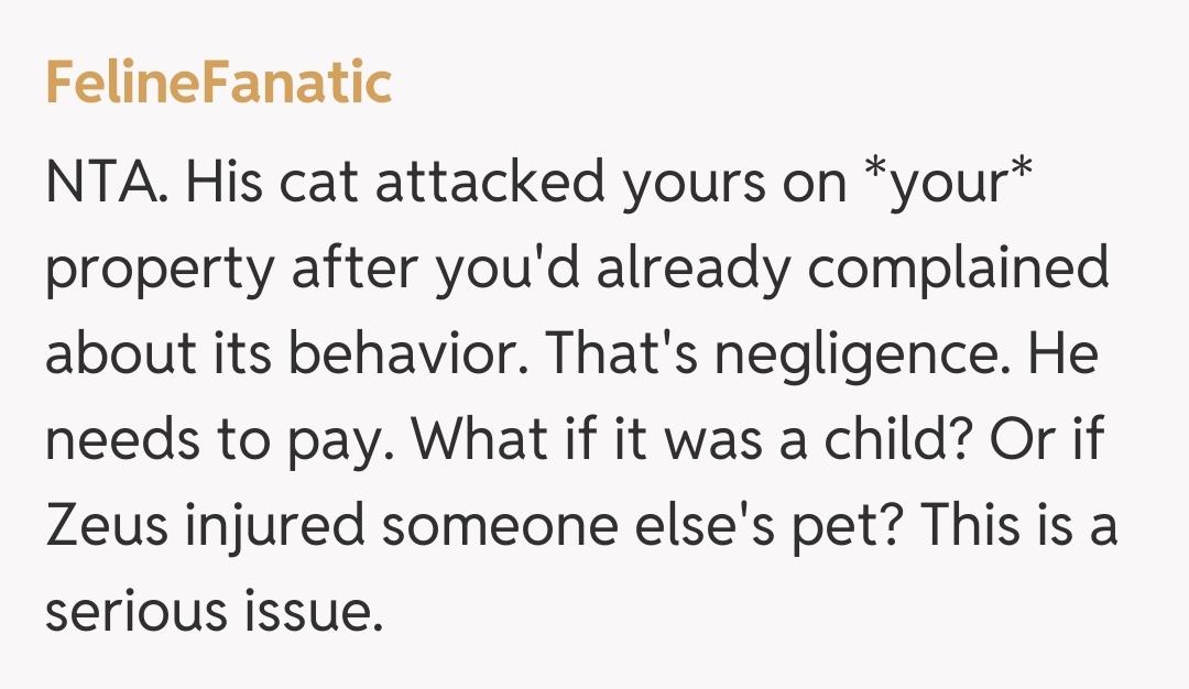 Comentariu de la FelineFanatic