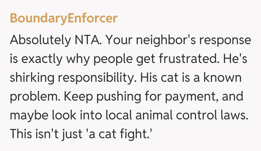 Comentariu de la BoundaryEnforcer