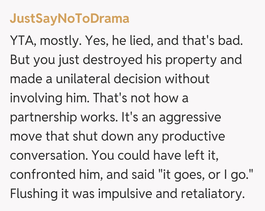 Comentariu de la JustSayNoToDrama