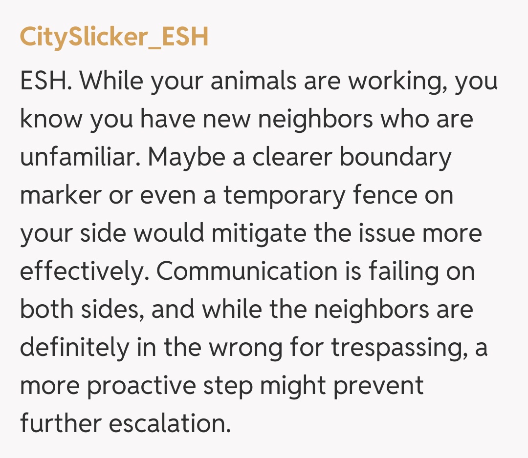 Comentariu de la CitySlicker_ESH