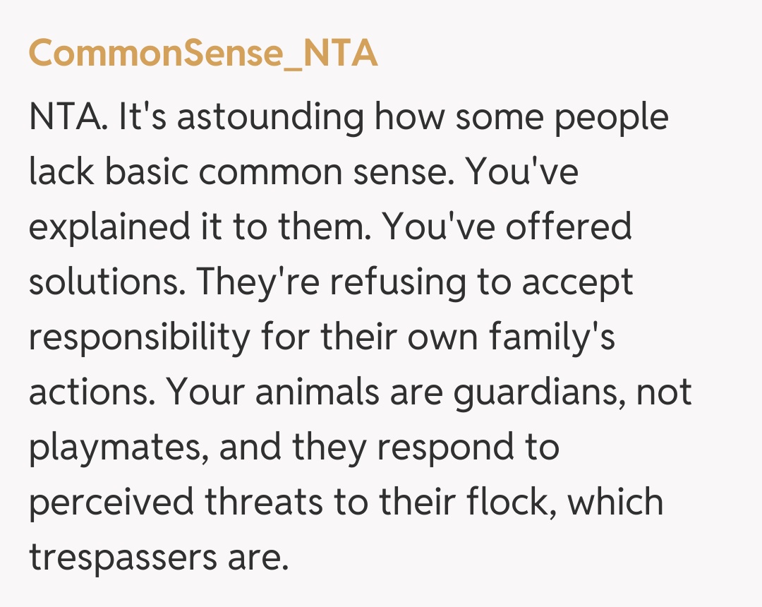 Comentariu de la CommonSense_NTA