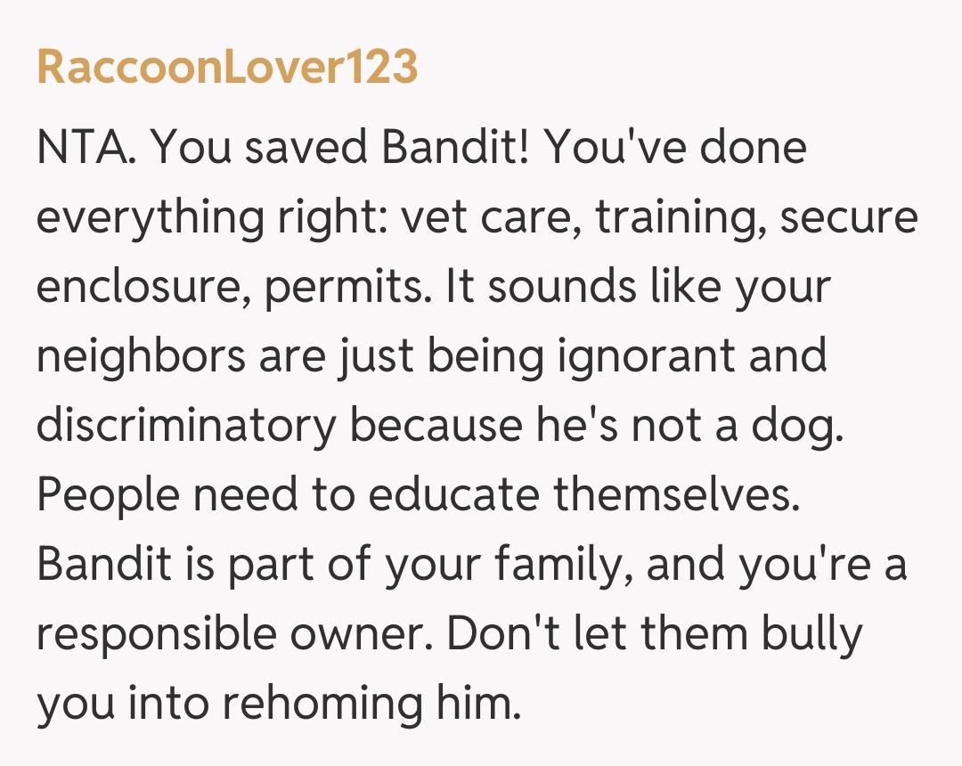 Comentariu de la RaccoonLover123