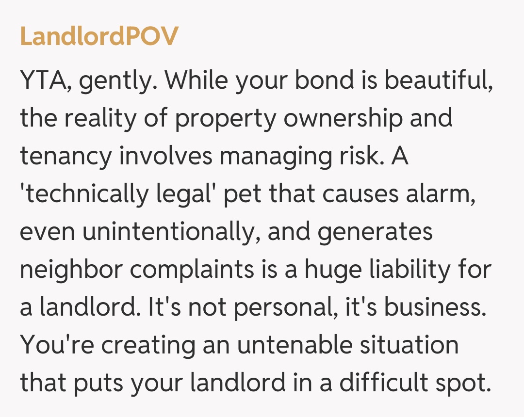 Comentariu de la LandlordPOV