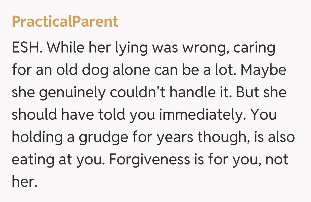 Comentariu de la PracticalParent