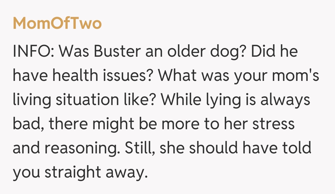 Comentariu de la MomOfTwo