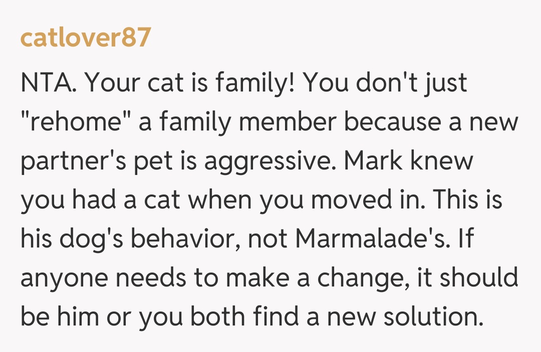 Comentariu de la catlover87
