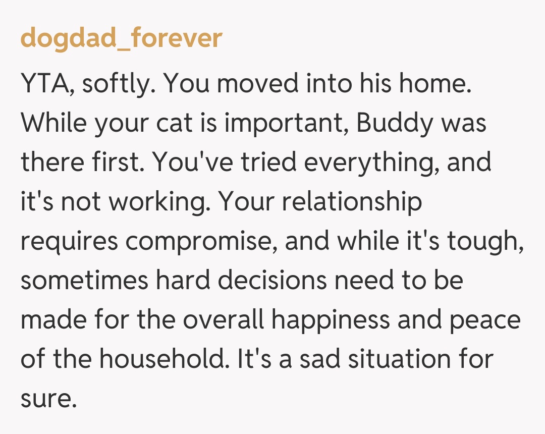 Comentariu de la dogdad_forever