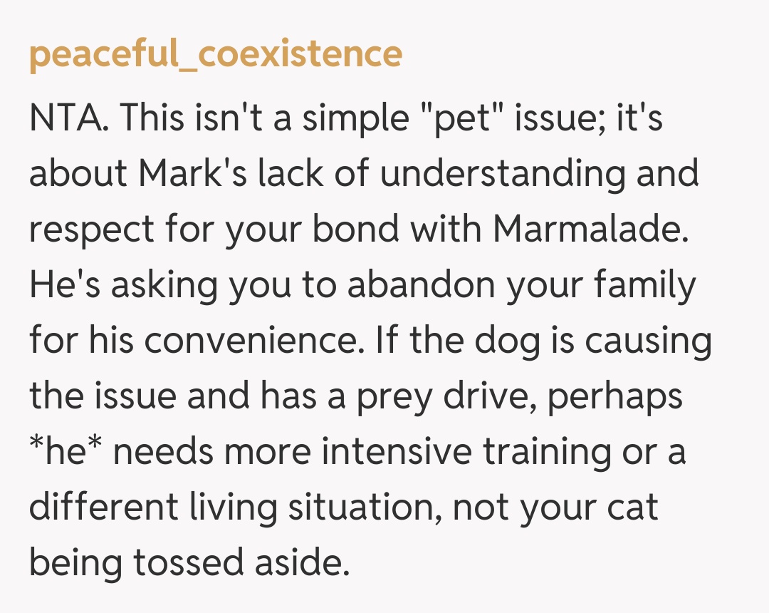 Comentariu de la peaceful_coexistence