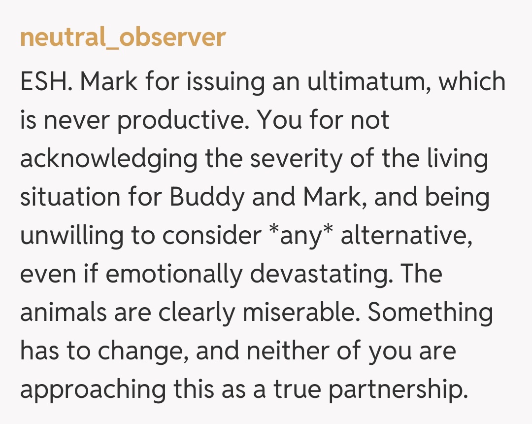 Comentariu de la neutral_observer