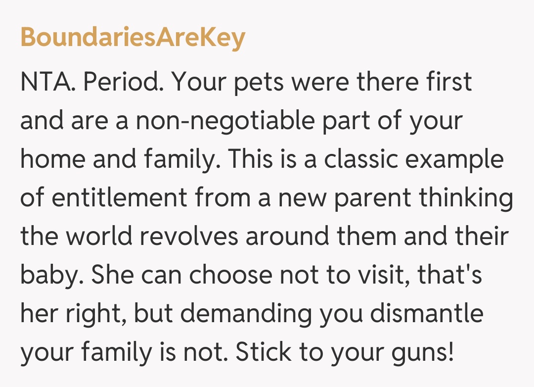 Comentariu de la BoundariesAreKey
