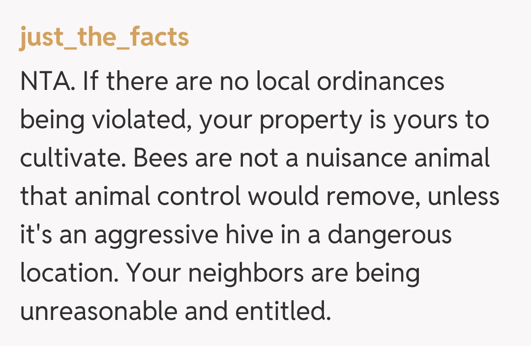 Comentariu de la just_the_facts