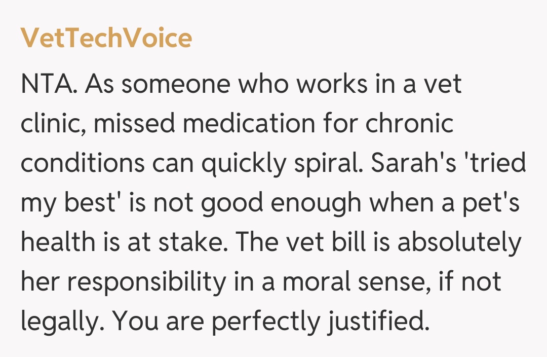 Comentariu de la VetTechVoice