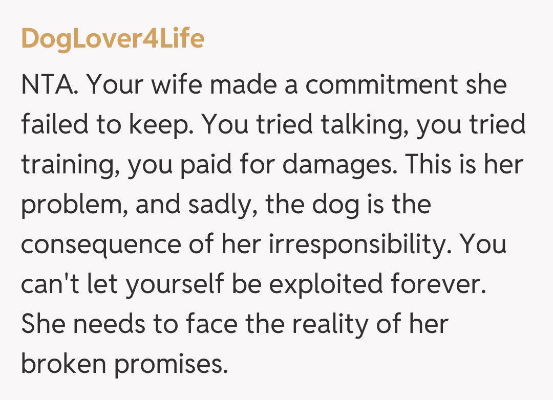 Comentariu de la DogLover4Life