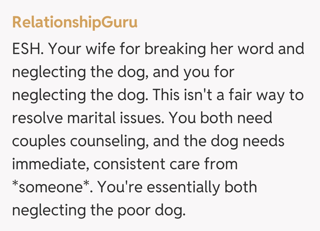 Comentariu de la RelationshipGuru