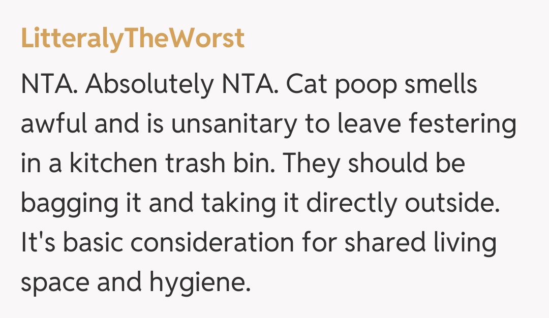 Comentariu de la LitteralyTheWorst