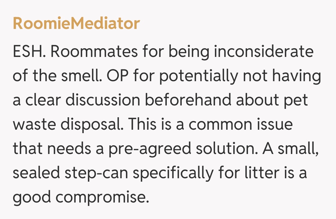 Comentariu de la RoomieMediator