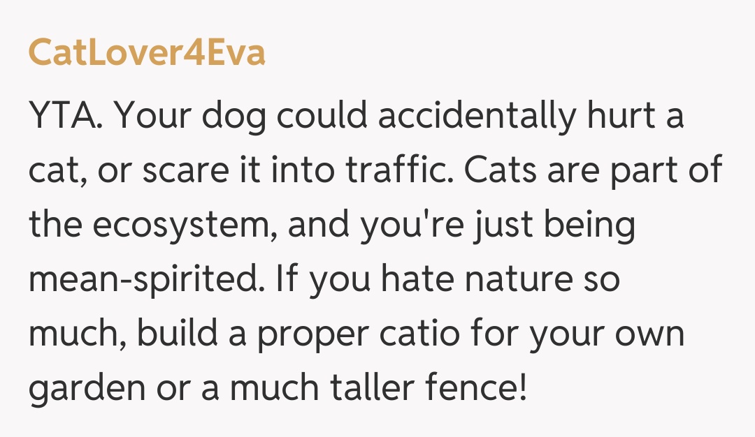 Comentariu de la CatLover4Eva
