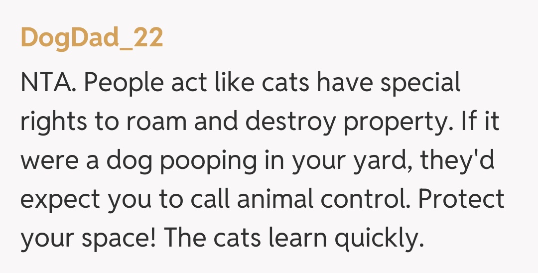 Comentariu de la DogDad_22