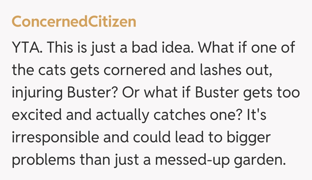 Comentariu de la ConcernedCitizen