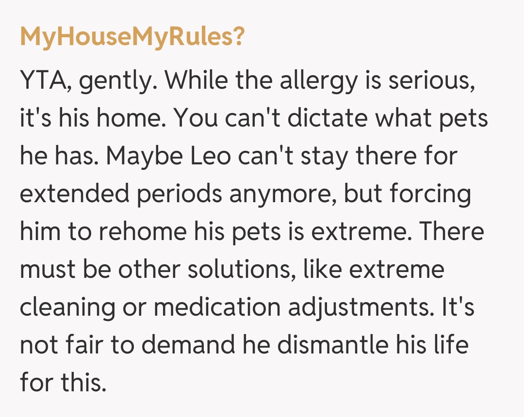 Comentariu de la MyHouseMyRules?