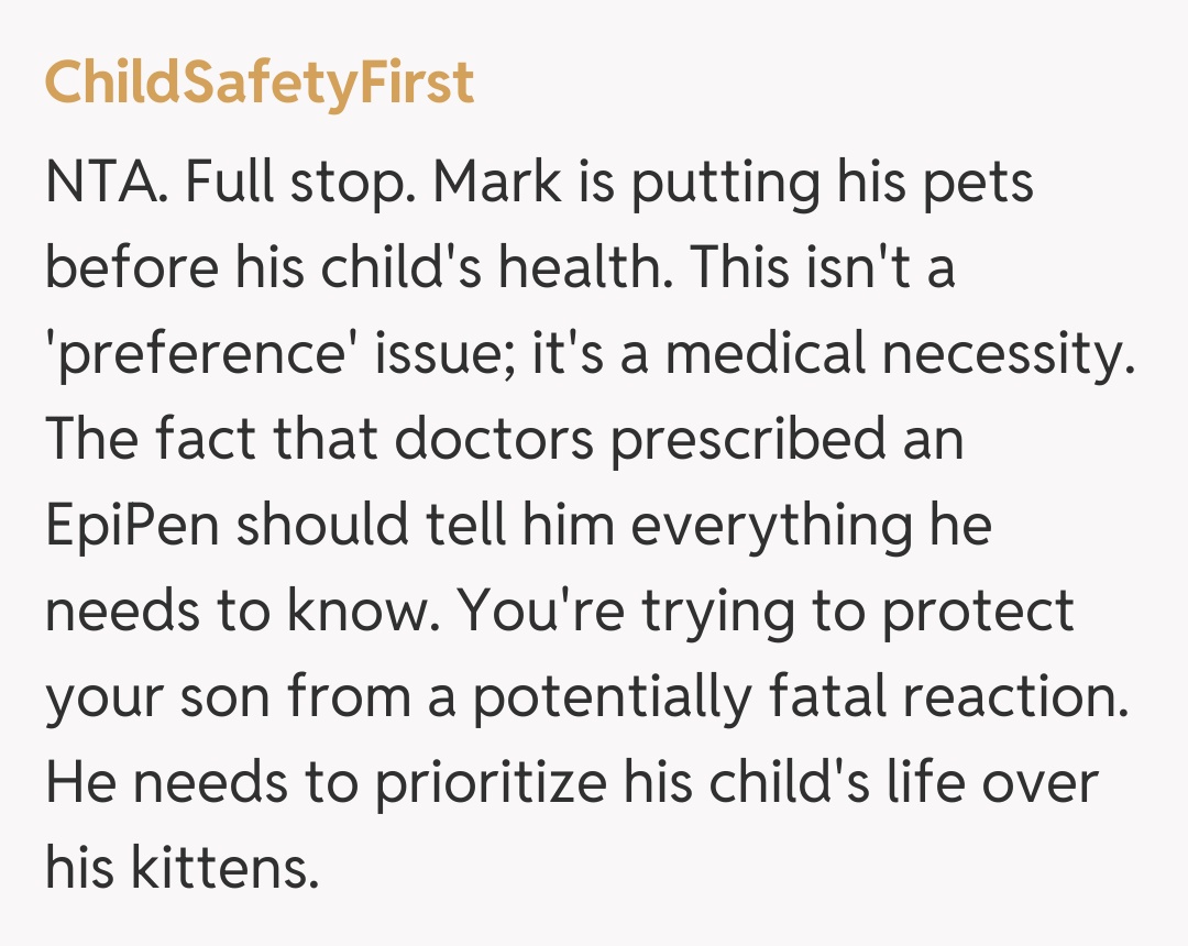 Comentariu de la ChildSafetyFirst
