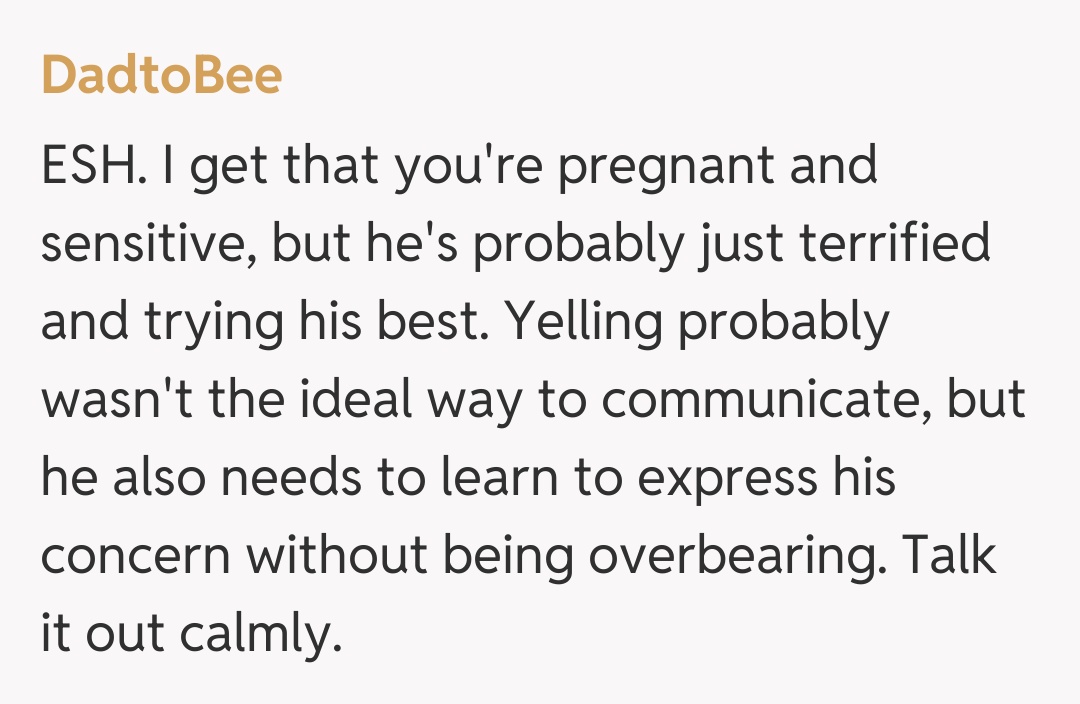 Comentariu de la DadtoBee