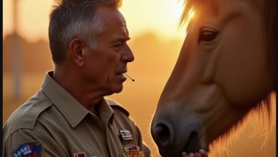 Photo of The Day My War Horse Finally Remembered Me — After Years of Silence, His Reaction Left Everyone Speechless
