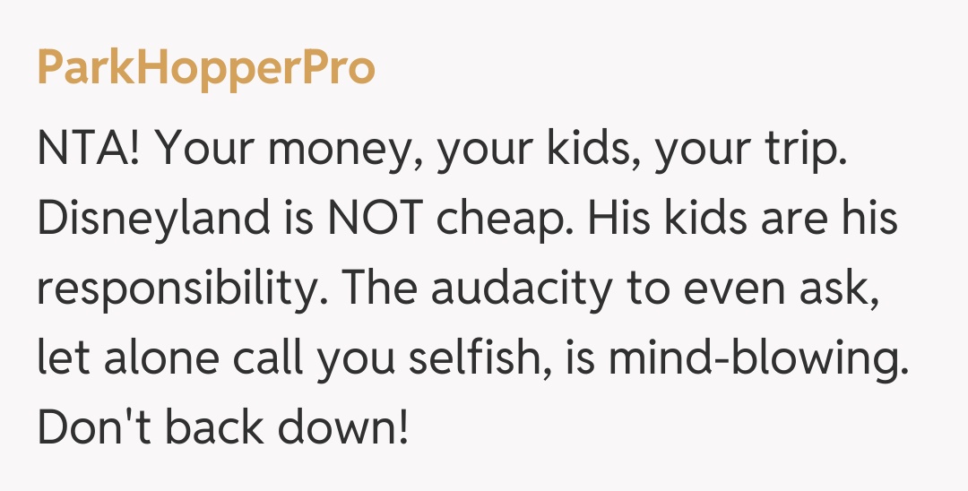 Comentariu de la ParkHopperPro