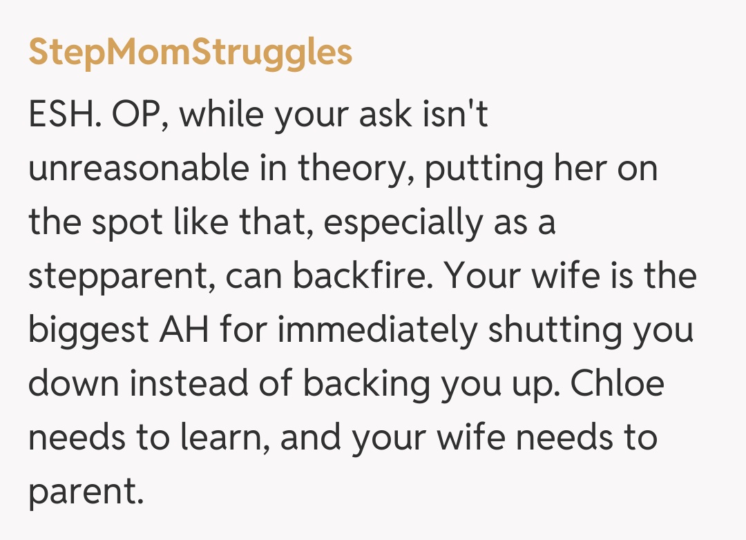 Comentariu de la StepMomStruggles