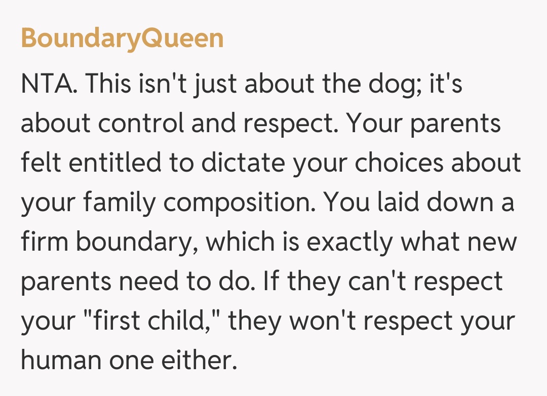 Comentariu de la BoundaryQueen