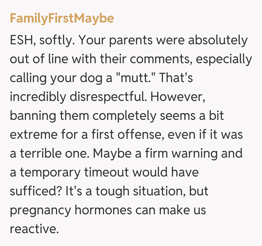 Comentariu de la FamilyFirstMaybe