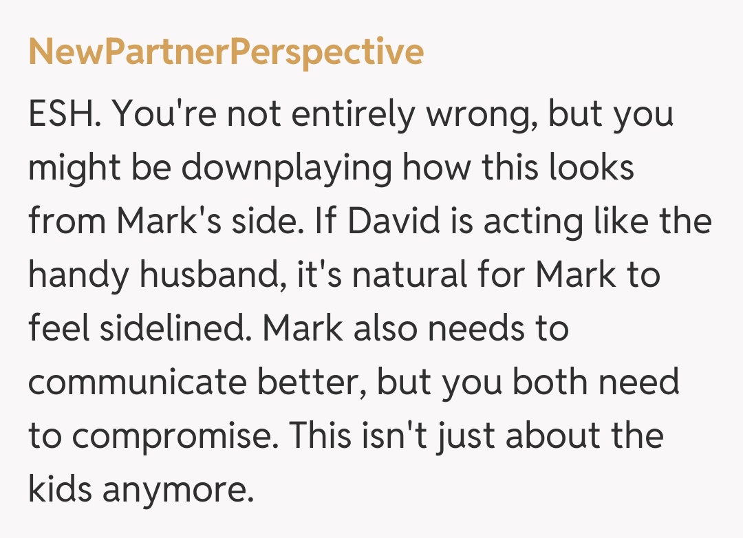 Comentariu de la NewPartnerPerspective