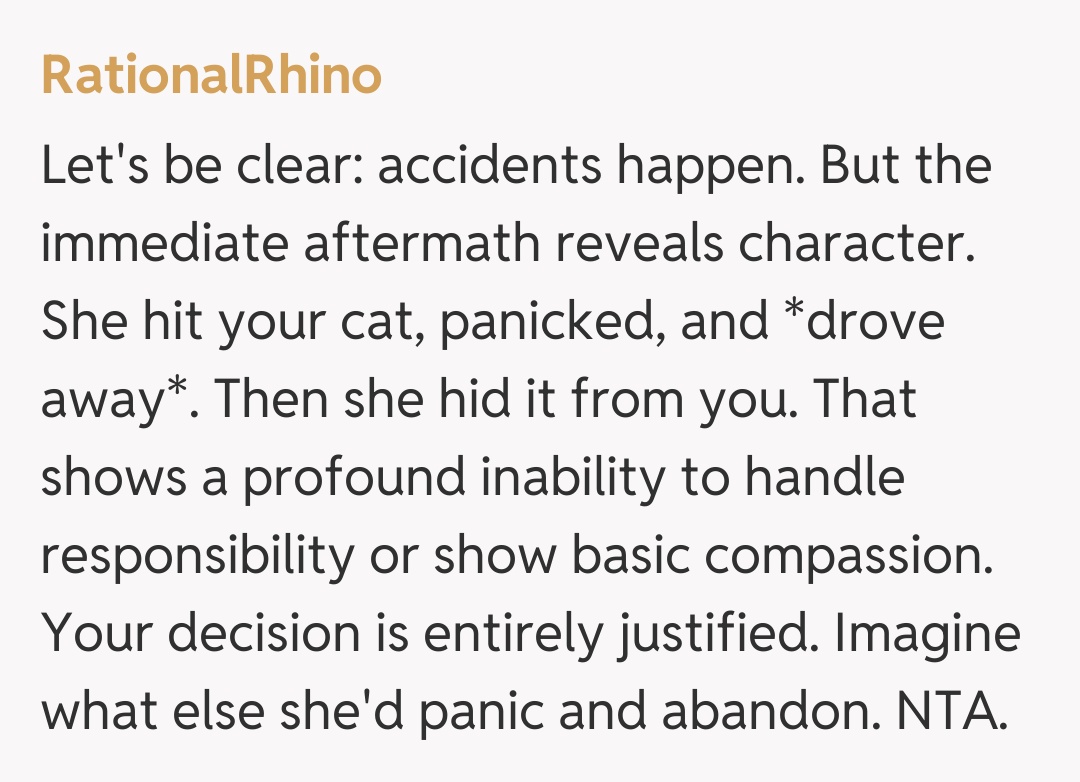 Comentariu de la RationalRhino