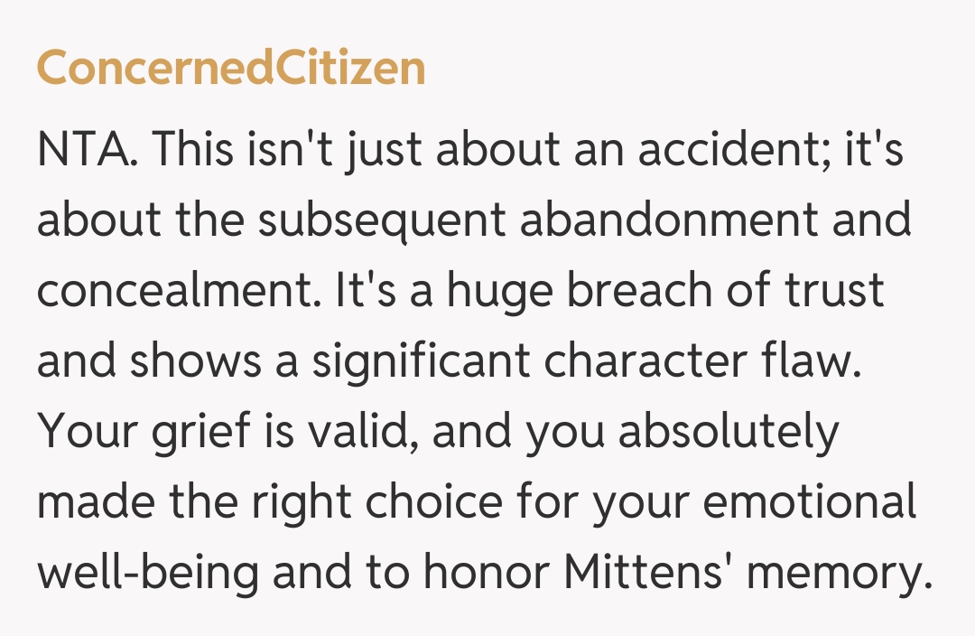 Comentariu de la ConcernedCitizen