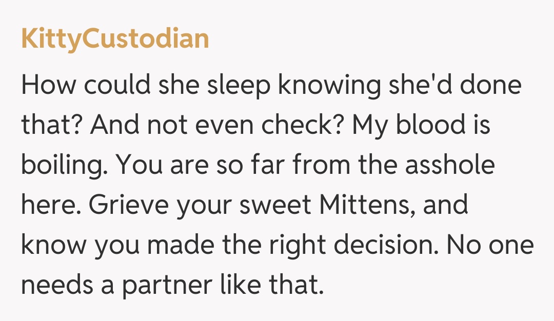 Comentariu de la KittyCustodian