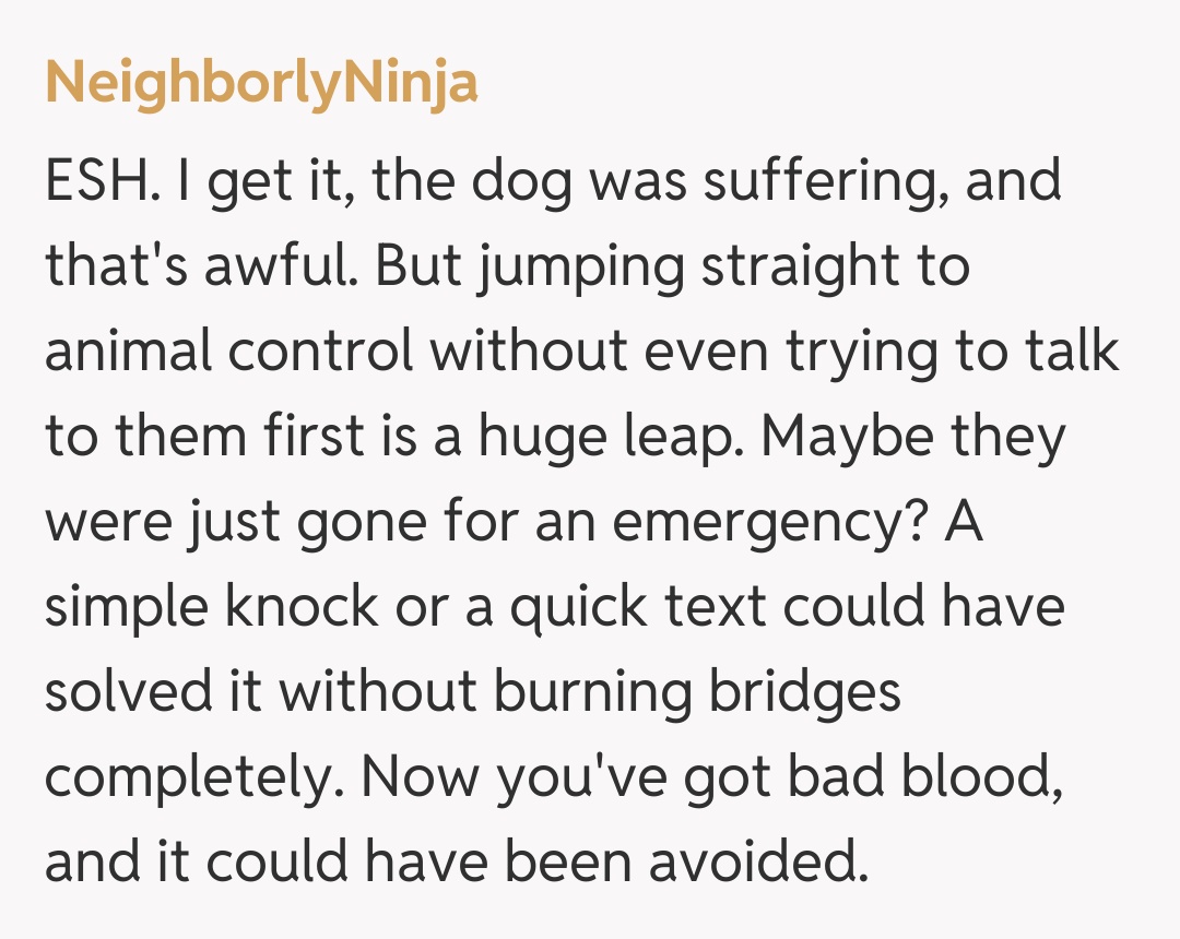 Comentariu de la NeighborlyNinja