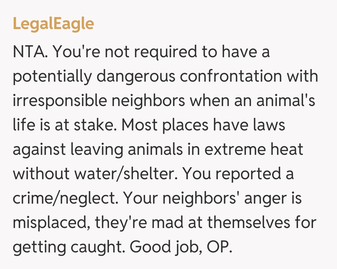 Comentariu de la LegalEagle