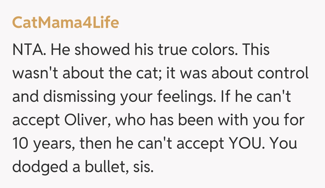 Comentariu de la CatMama4Life