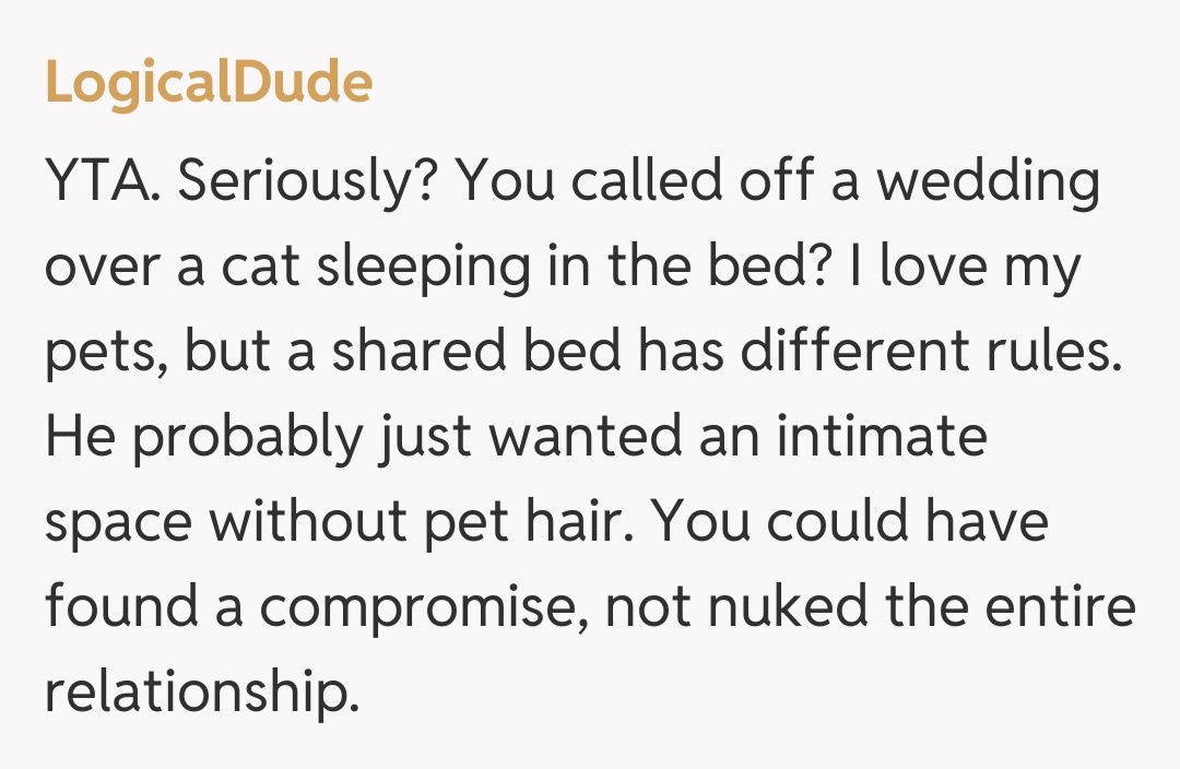 Comentariu de la LogicalDude