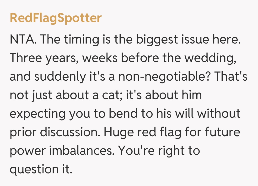 Comentariu de la RedFlagSpotter